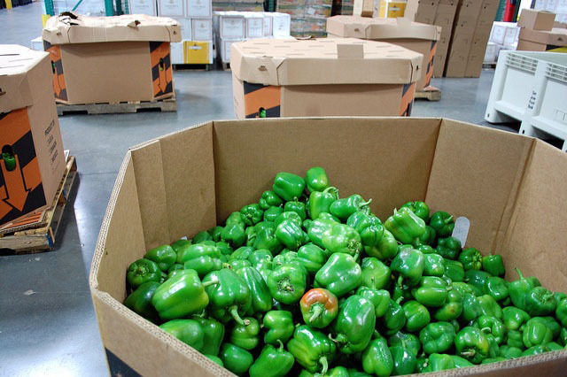 Green Bell Peppers