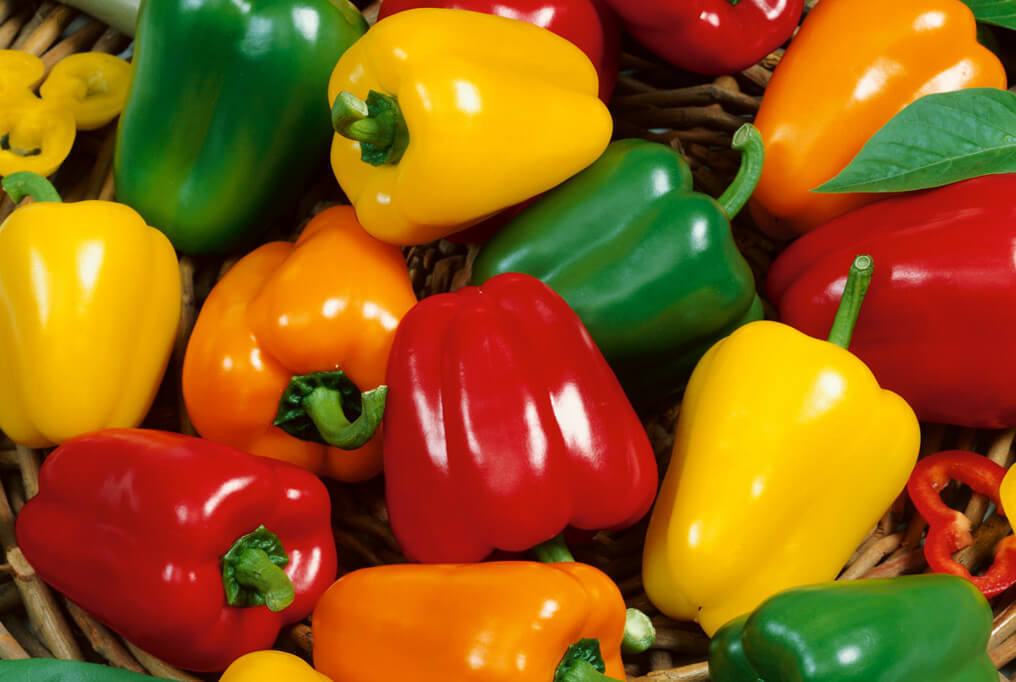 Colorful Bell Peppers 