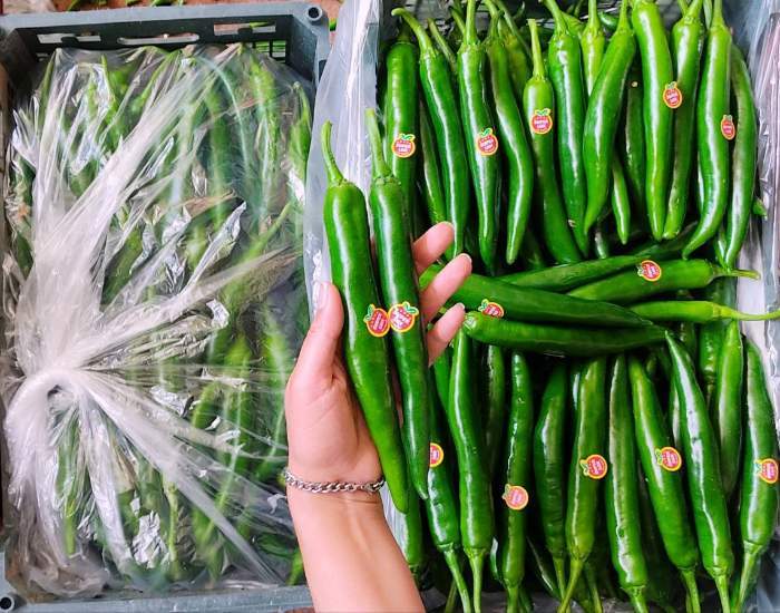 Green Chili Peppers (Shamshiri)