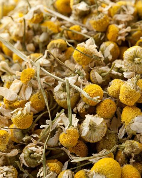Chamomile