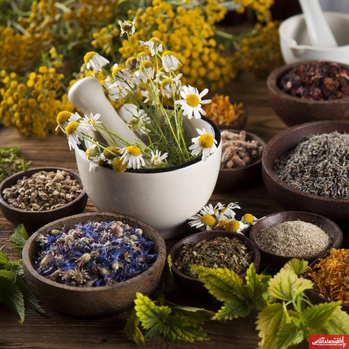 Premium Medicinal Herbs, Sourced from Nature