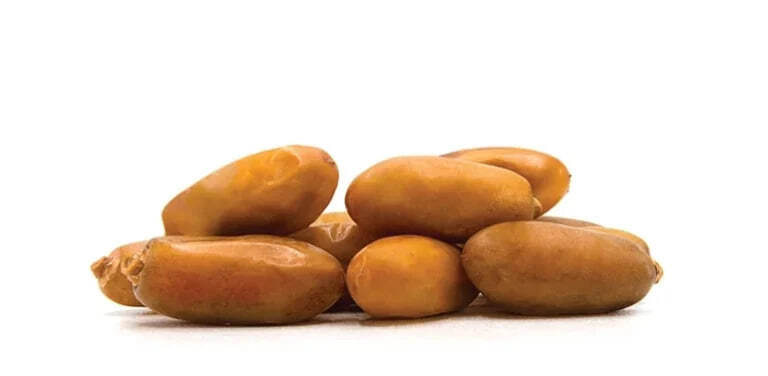  Shahani Dates